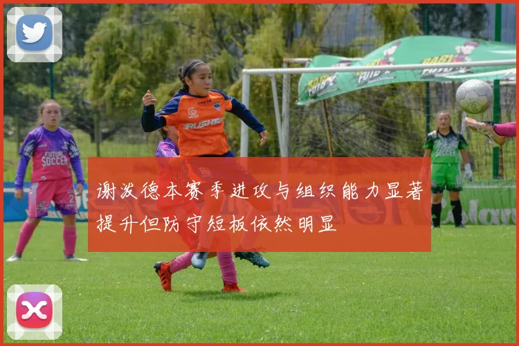 谢泼德本赛季进攻与组织能力显著提升但防守短板依然明显